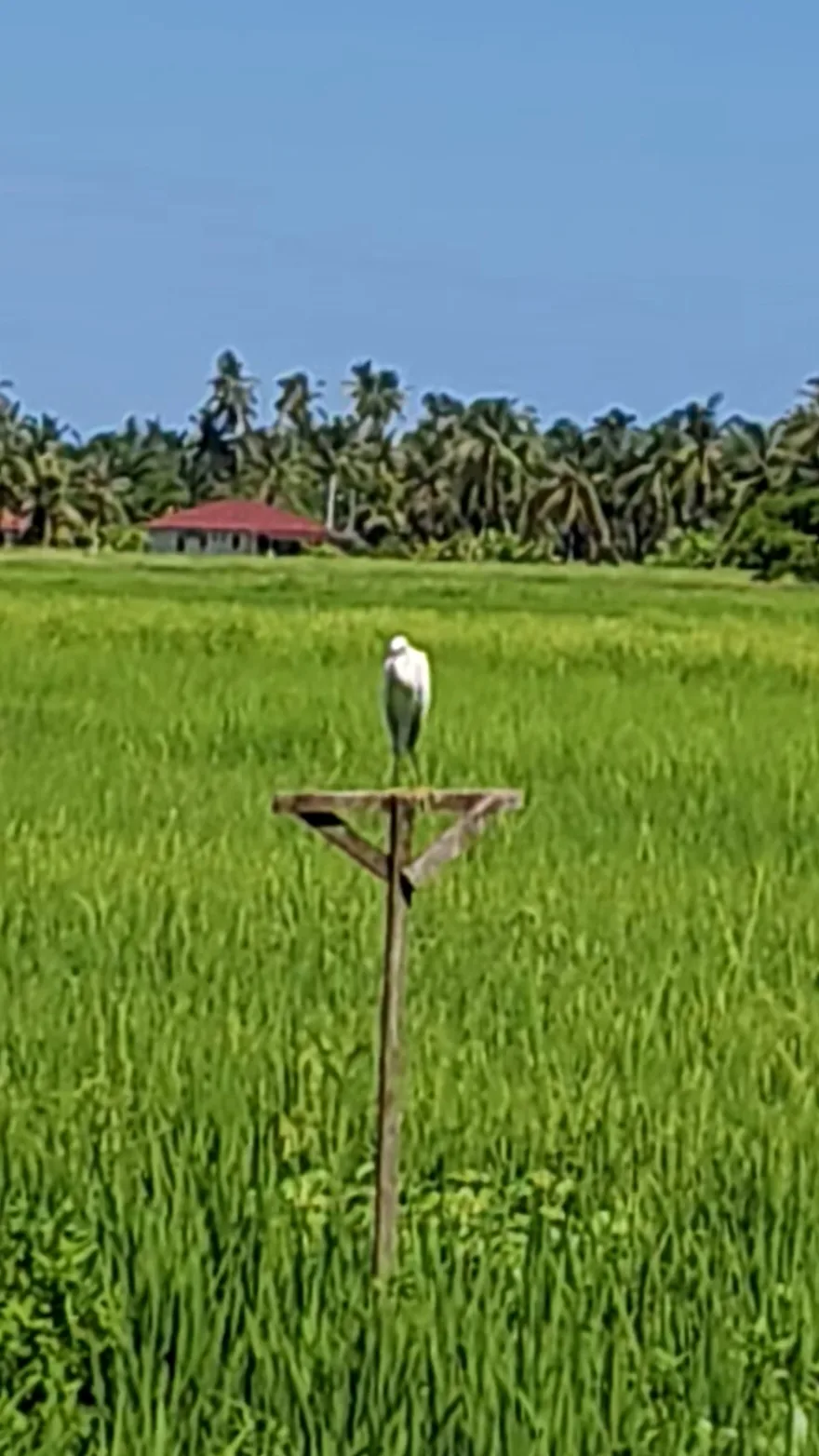 Authentic Rural Experience